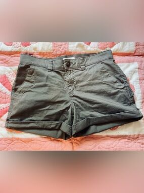 Boston Traders chocolate brown Roll-Cuff Cotton Shorts